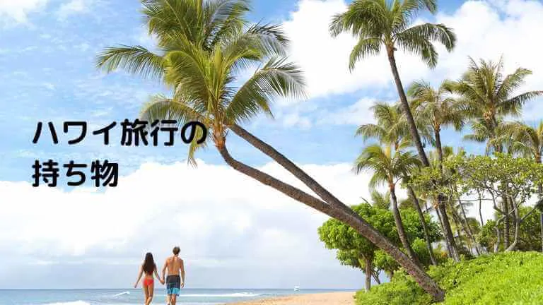 ハワイ旅行の持ち物に何を持って行くべき 女子旅や子連れ旅行もこれで安心 ミュウズweb