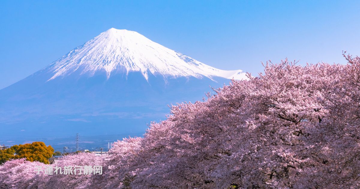 子連れ旅行 静岡